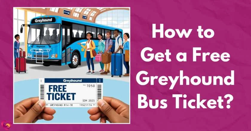 How to Get a Free Greyhound Bus Ticket